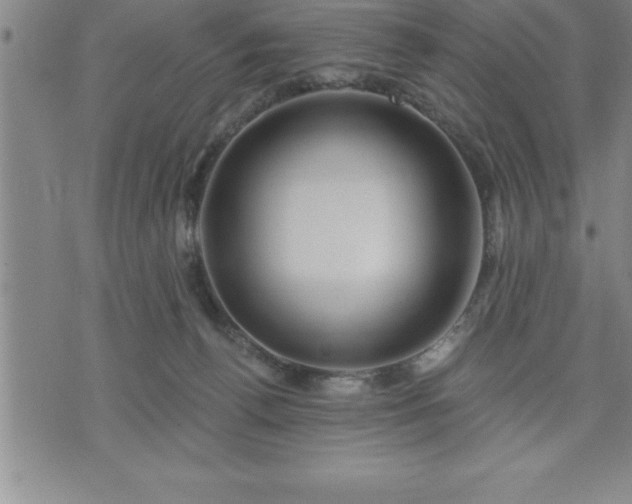 X0000075830176200609221649