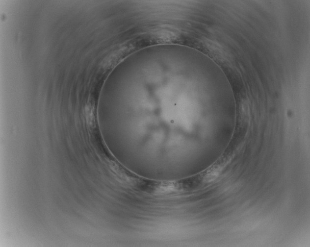 X0000075830177200609221649