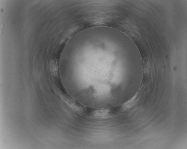 X0000075830179200609221649