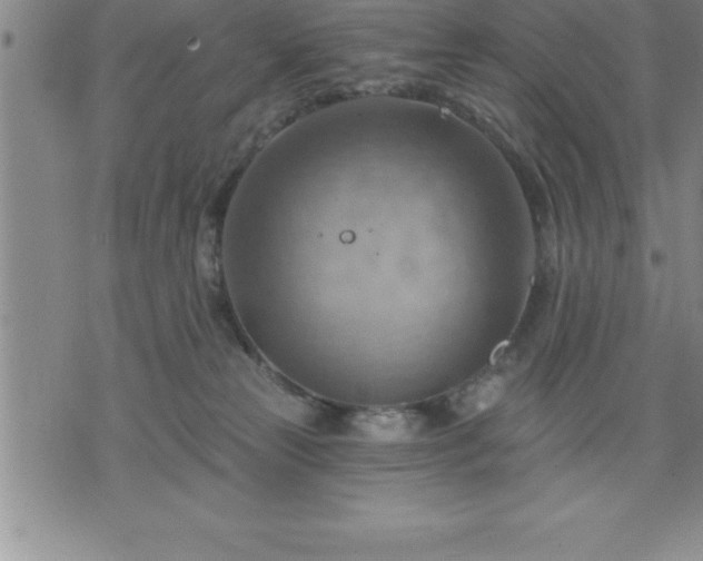 X0000075830181200609221649