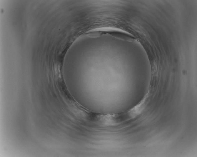 X0000075830182200609221649