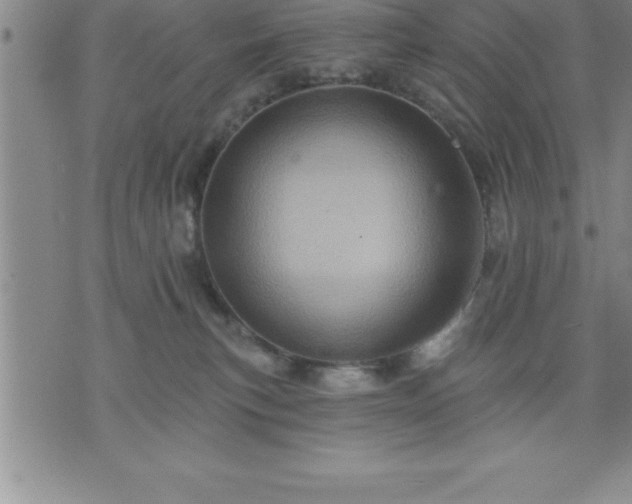 X0000075830183200609221649