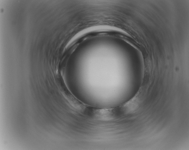 X0000075830184200609221649