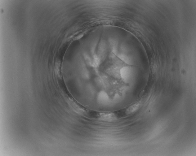 X0000075830185200609221649