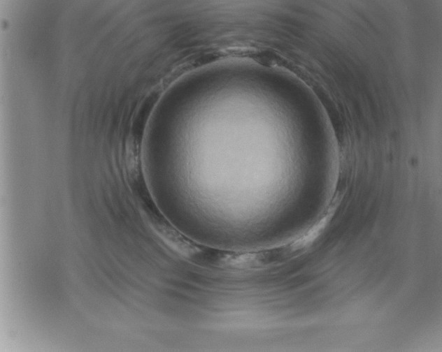 X0000075830186200609221649