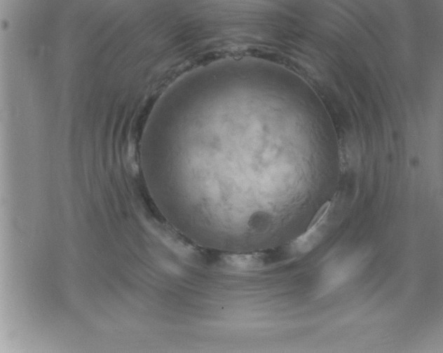 X0000075830187200609221649