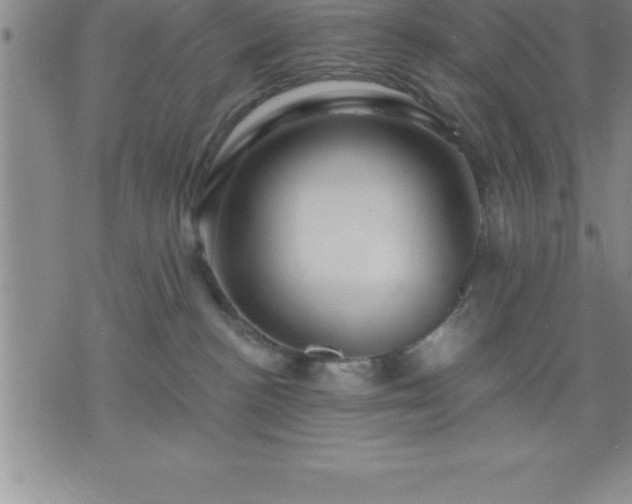 X0000075830188200609221649