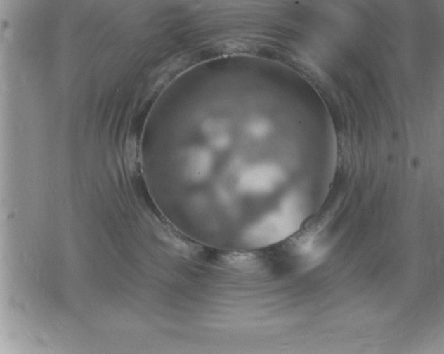 X0000075830189200609221649