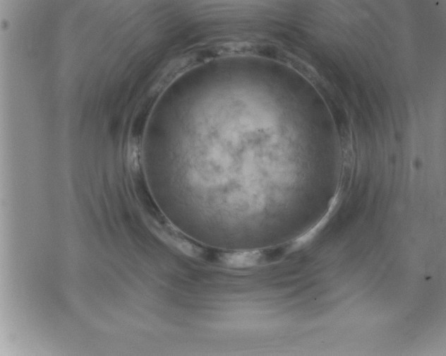 X0000075830191200609221649