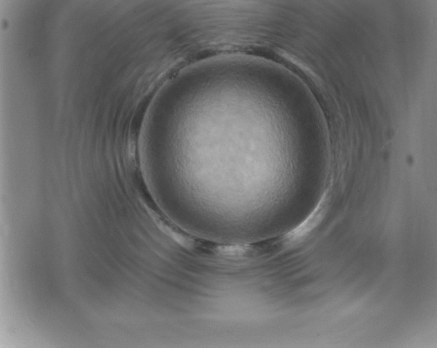 X0000075830192200609221649