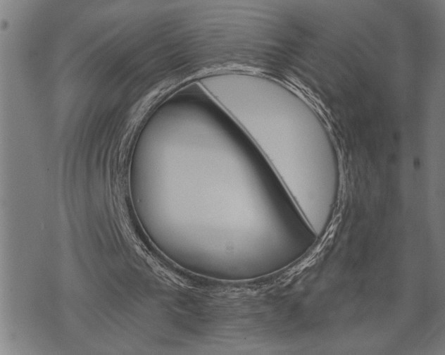 X0000075830193200609221648