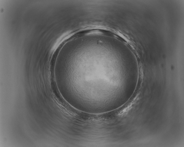 X0000075830199200609221648