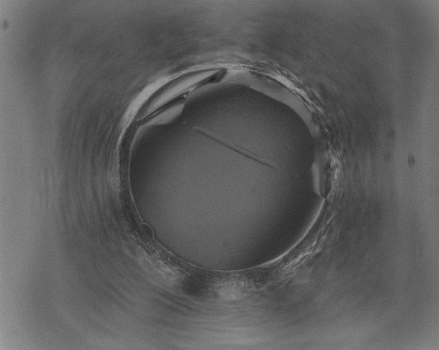 X0000075830200200609221648