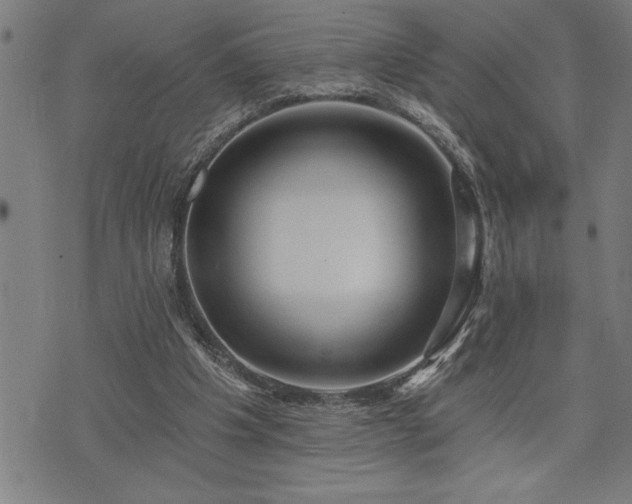 X0000075830201200609221648