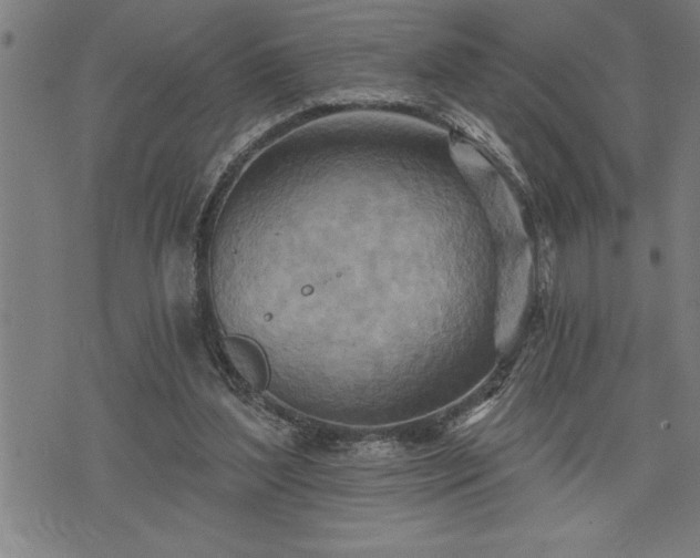 X0000075830204200609221648