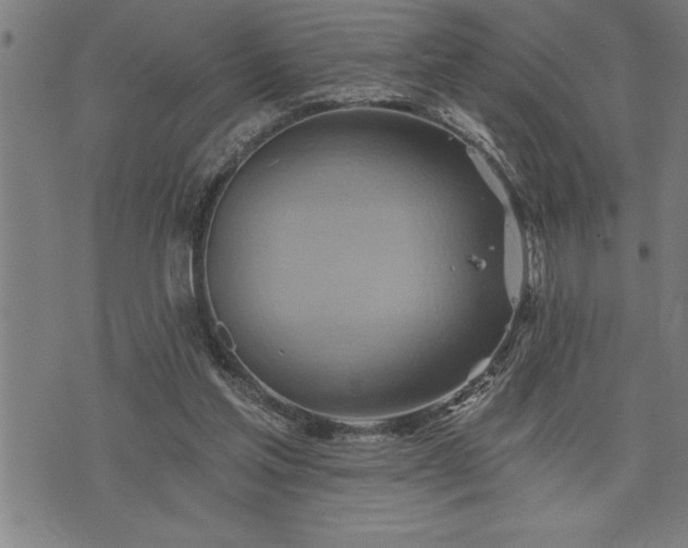 X0000075830205200609221648