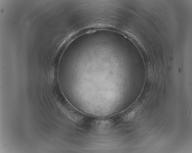 X0000075830208200609221648