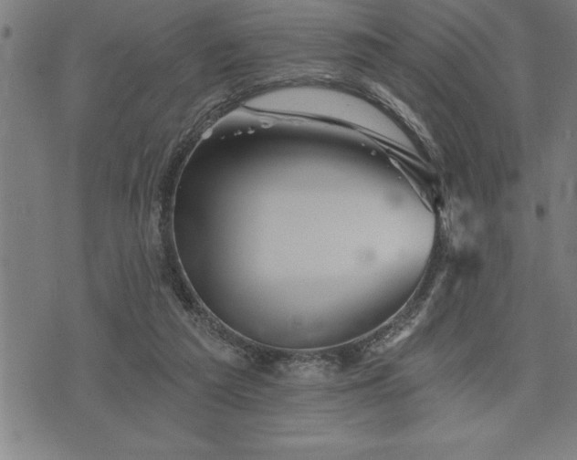 X0000075830209200609221648