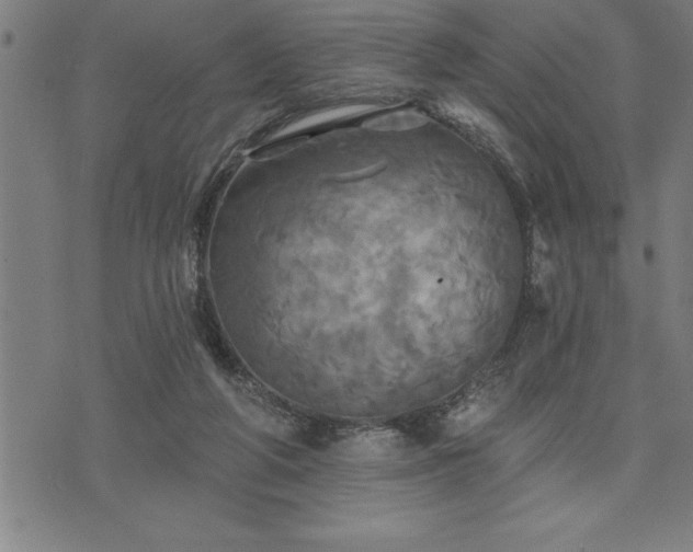 X0000075830210200609221648