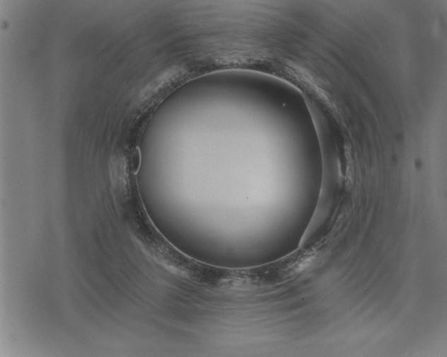 X0000075830211200609221648