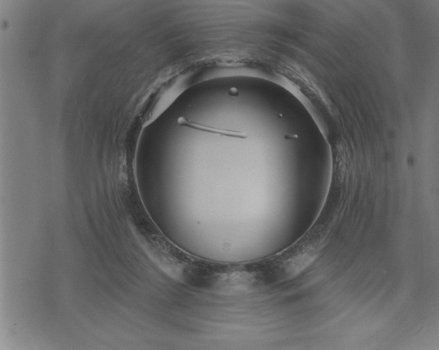 X0000075830212200609221648