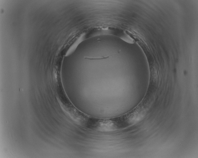 X0000075830214200609221648