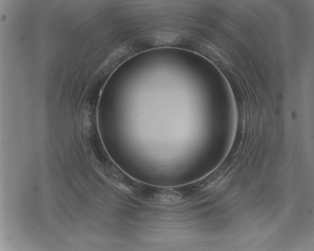 X0000075830215200609221648