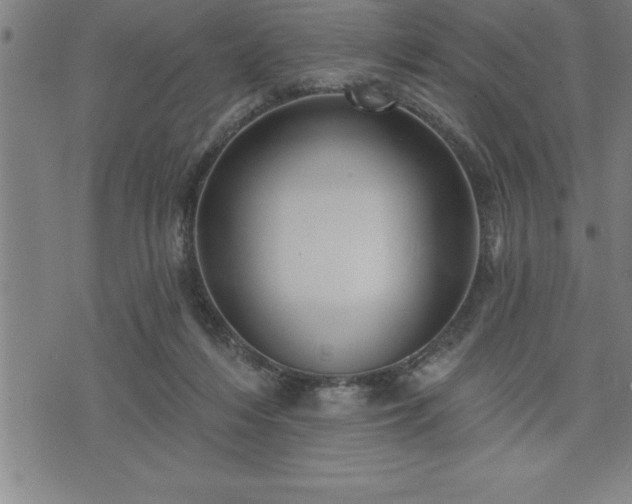 X0000075830216200609221648