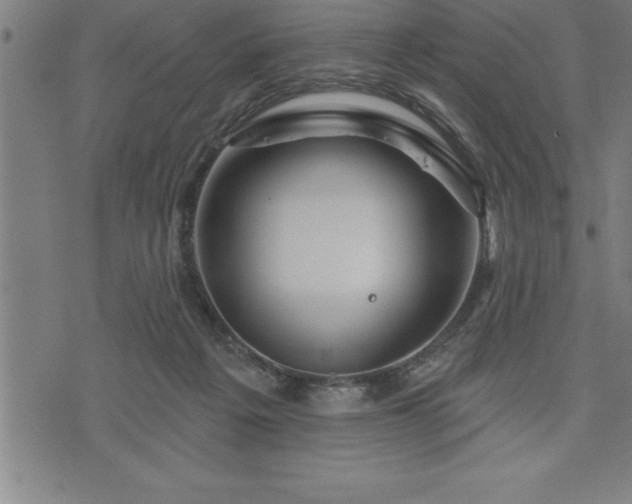 X0000075830217200609221648