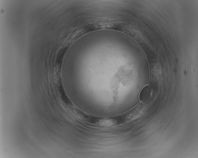 X0000075830218200609221648