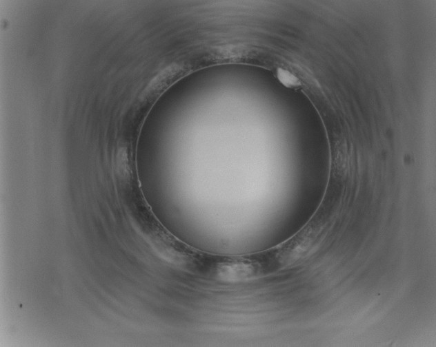 X0000075830220200609221648