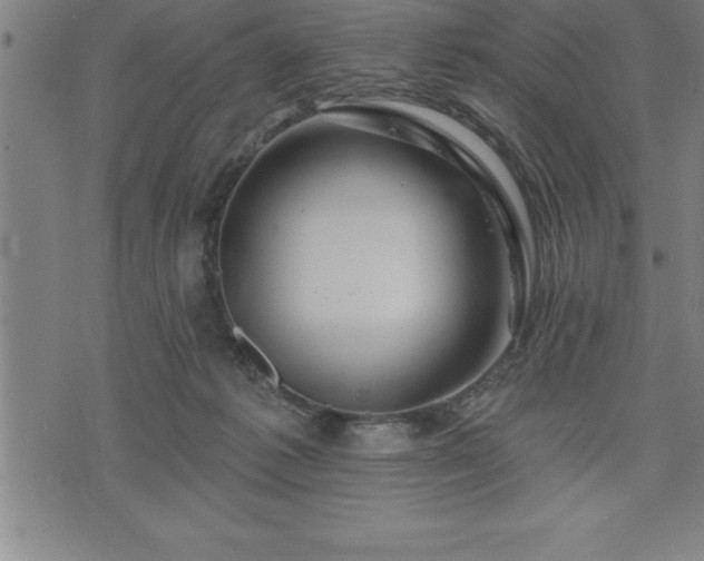 X0000075830221200609221648