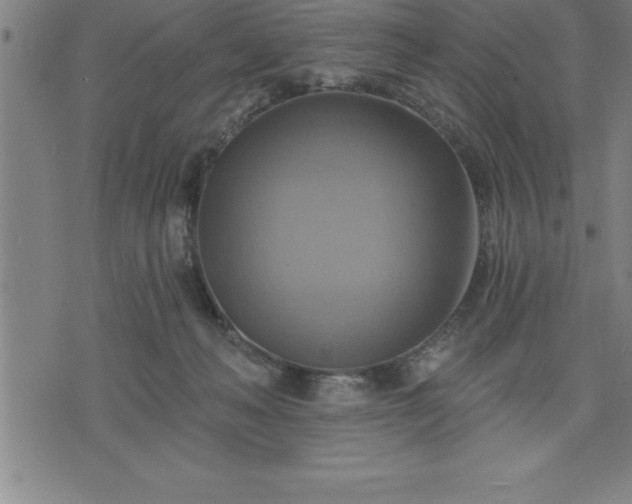 X0000075830222200609221648