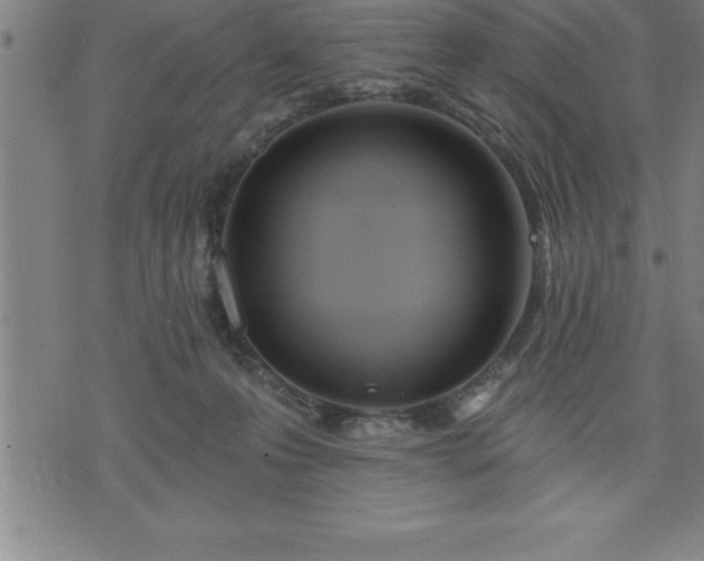 X0000075830223200609221648