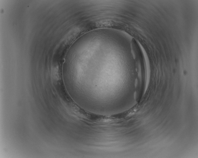 X0000075830224200609221648