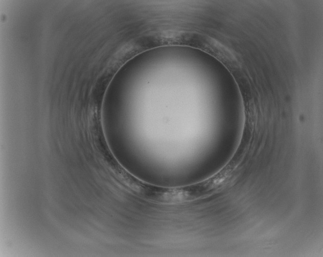 X0000075830225200609221648