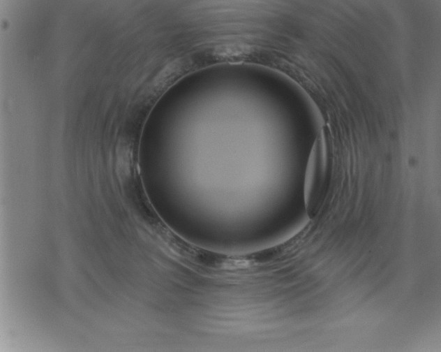 X0000075830227200609221648