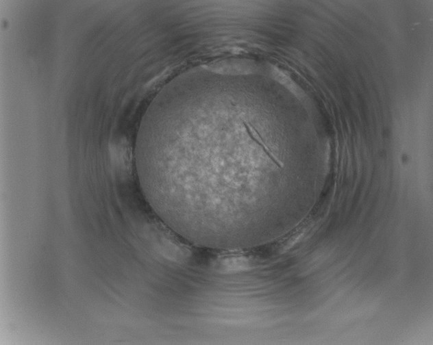 X0000075830228200609221648