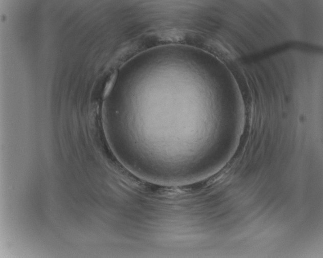 X0000075830229200609221648