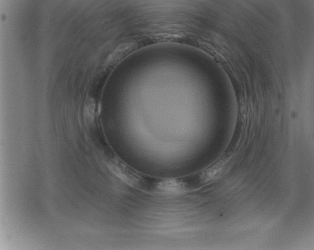 X0000075830231200609221648