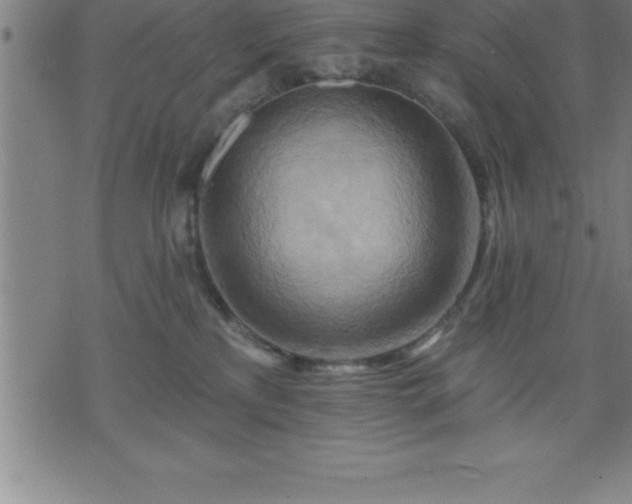 X0000075830233200609221648