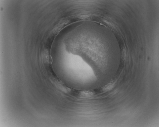 X0000075830234200609221648