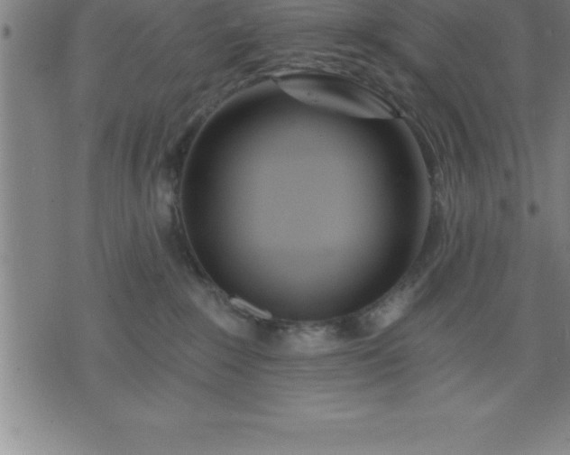 X0000075830235200609221648