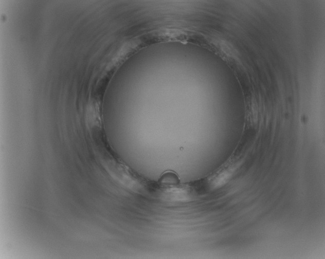 X0000075830236200609221648