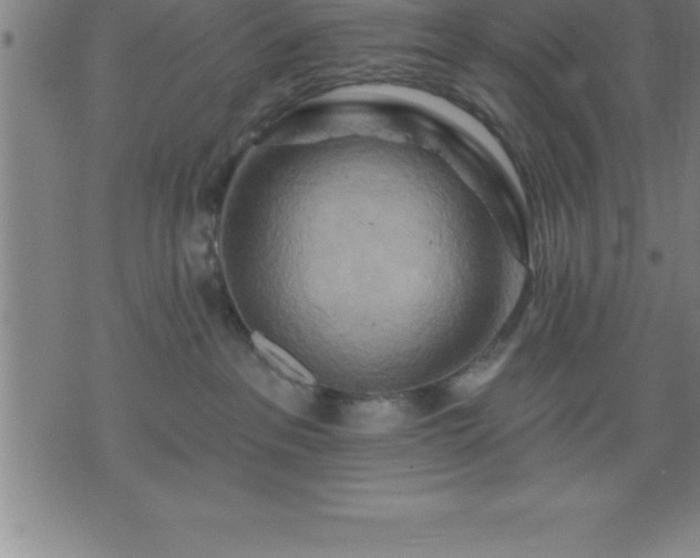 X0000075830237200609221648