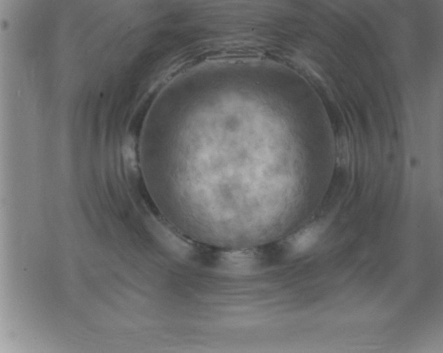 X0000075830238200609221648