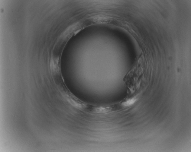 X0000075830239200609221648