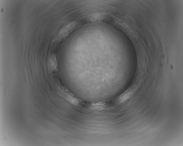 X0000075830240200609221648