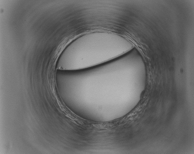 X0000075830241200609221647