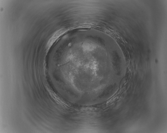 X0000075830242200609221647